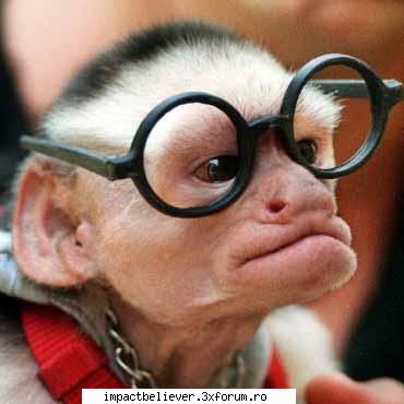 FuNNy StUff :D - d c croncane o cioara cand zboara"? schimba viteza - Funny
